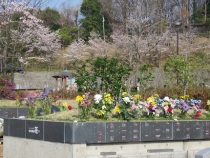 <span class="smallfont">花（募集期間2011年6月～2012年12月）</span>