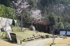 桜の里 (募集期間2015年4月～)