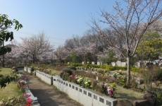 詩桜里 (募集期間2013年4月～)