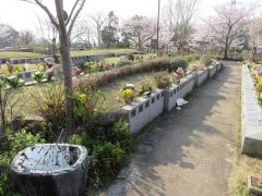 詩桜里