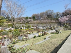 詩桜里