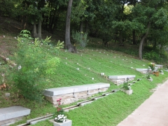 樹林墓地