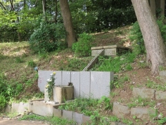 樹林墓地