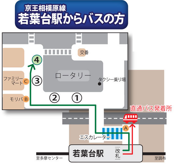 wakabadai1