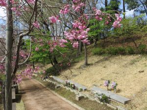 「水の精・木の精」