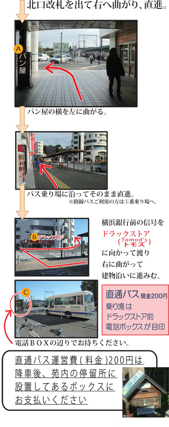 tsurukawa2